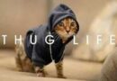 O que significa “thug life” em inglês?
