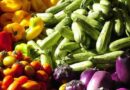 Legumes e Verduras – Monte sua empresa de beneficiamento
