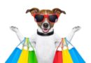 Como montar um Pet Shop – Passo a Passo