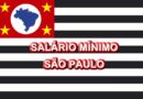 Valor do salário mínimo 2008 São Paulo – SP