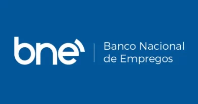 Logo da BNE, Banco Nacional de Empregos: um futuro de oportunidades.